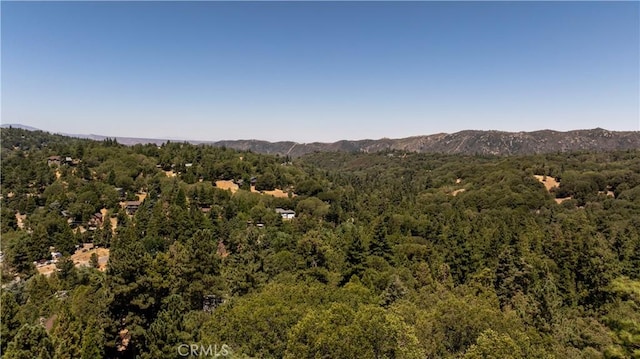 705 Ashlar Dr, Crestline, CA 92325 - photo 32