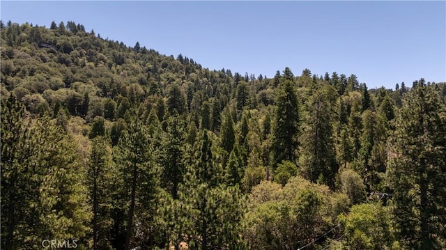 705 Ashlar Dr, Crestline, CA 92325 - photo 31