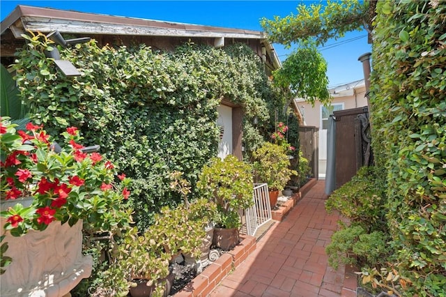 222 Wave St, Laguna Beach, CA 92651 - photo 52