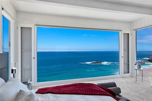 31877 Circle Dr, Laguna Beach, CA 92651 - photo 16
