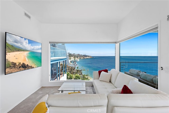 31877 Circle Dr, Laguna Beach, CA 92651 - photo 41