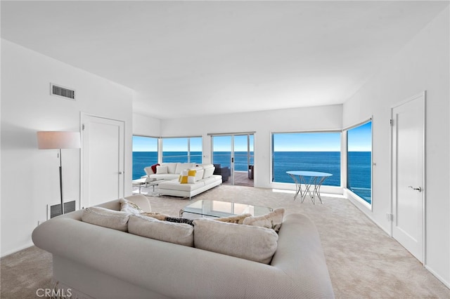 31877 Circle Dr, Laguna Beach, CA 92651 - photo 39