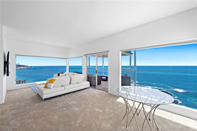 31877 Circle Dr, Laguna Beach, CA 92651 - photo 40