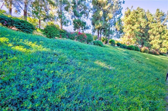 23412 Pacific Park Dr Unit 6A, Aliso Viejo, CA 92656 - photo 34