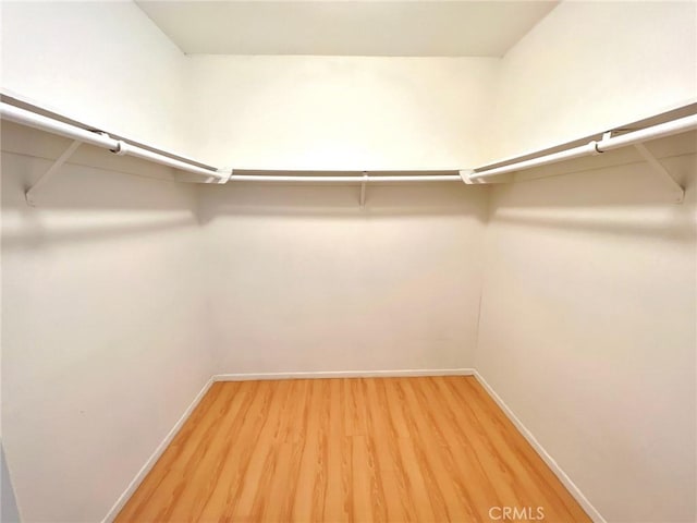 13228 Ferndale Dr, Garden Grove, CA 92844 - photo 17