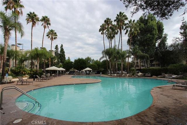 5520 Owensmouth Ave Unit 217, Woodland Hills, CA 91367 - photo 29