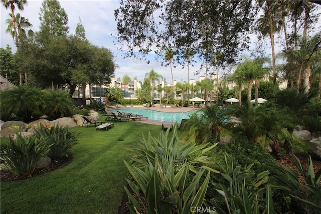 5520 Owensmouth Ave Unit 217, Woodland Hills, CA 91367 - photo 22