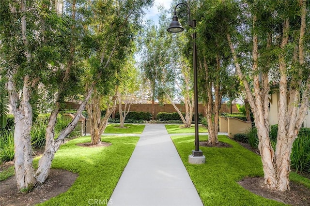 67 Plateau, Irvine, CA 92618 - photo 26