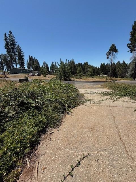 6195 Calvary Ct, Magalia, CA 95954 - photo 10