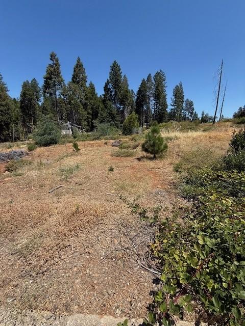6195 Calvary Ct, Magalia, CA 95954 - photo 8
