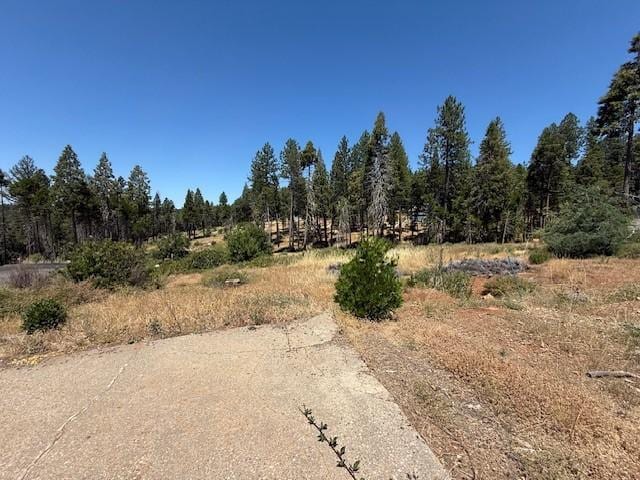 6195 Calvary Ct, Magalia, CA 95954 - photo 9