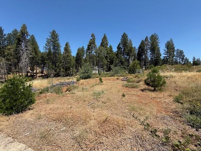 6195 Calvary Ct, Magalia, CA 95954 - photo 7