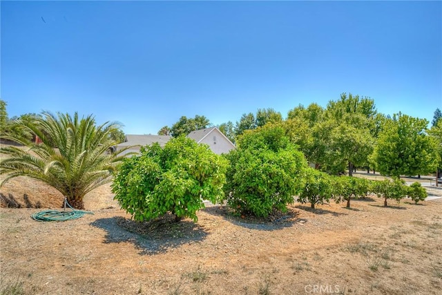 6060 Miners Ranch Rd, Oroville, CA 95966 - photo 59