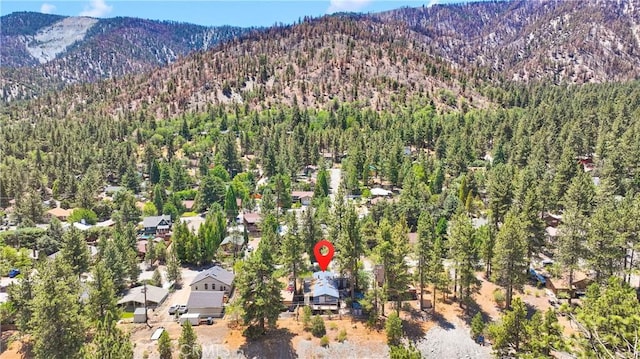 716 Mountain View Ave, Wrightwood, CA 92397 - photo 49