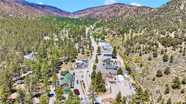 716 Mountain View Ave, Wrightwood, CA 92397 - photo 60