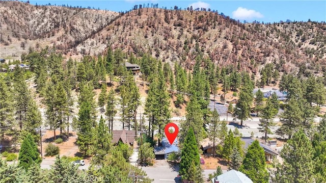716 Mountain View Ave, Wrightwood, CA 92397 - photo 53
