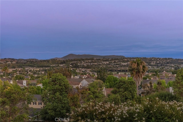 23 Merrill Hl, Ladera Ranch, CA 92694 - photo 44