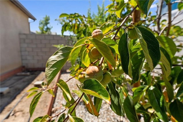 26038 Redoak St, Menifee, CA 92584 - photo 38