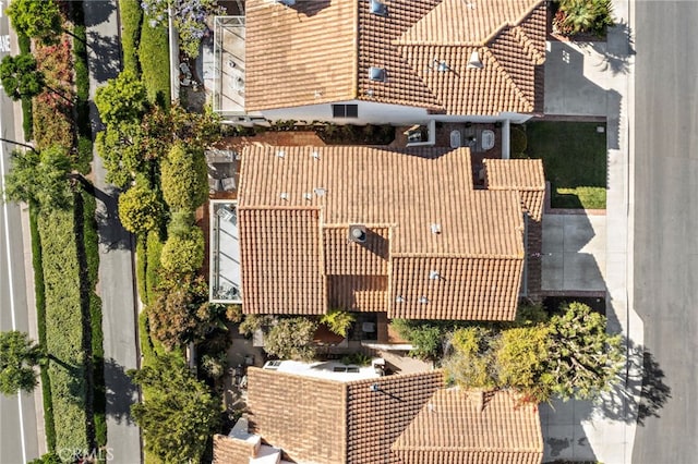 27 Palm Beach Ct, Dana Point, CA 92629 - photo 40
