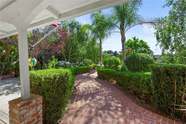 1446 Los Conejos Rd, Fallbrook, CA 92028 - photo 7
