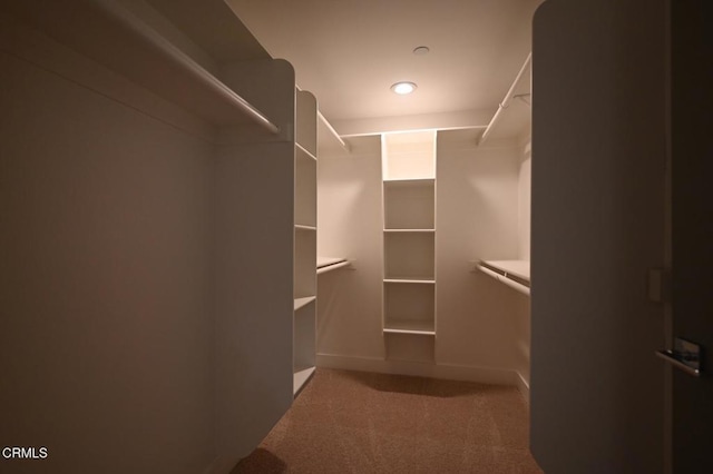 239 S Marengo Ave Unit 202, Pasadena, CA 91101 - photo 16