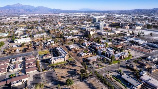 663 W 6th St, San Bernardino, CA 92410 - photo 10