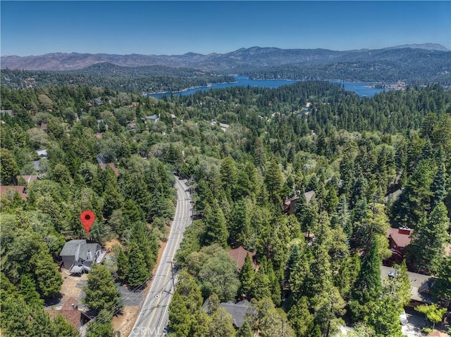 27230 Peninsula Dr, Lake Arrowhead, CA 92352 - photo 46