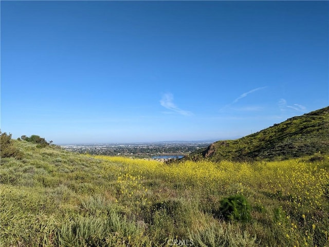 155 N Singingwood St Unit 39, Orange, CA 92869 - photo 43