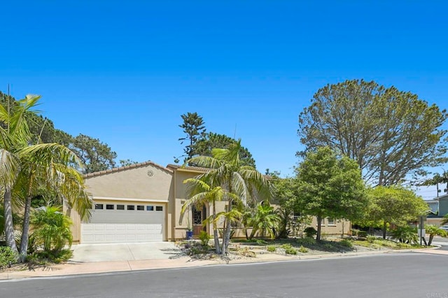 939 Bluejack Rd, Encinitas, CA 92024 - photo 53
