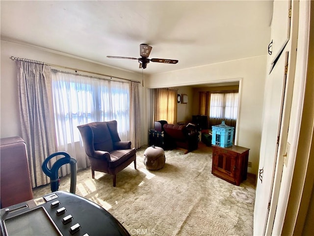402 Baldwin Ave, Redlands, CA 92374 - photo 8