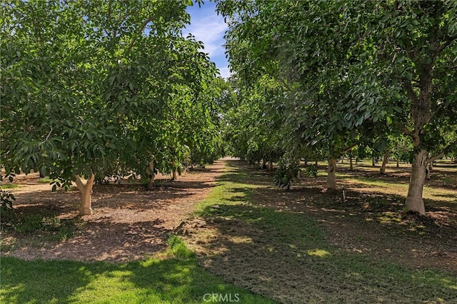7652 Cutting Ave, Orland, CA 95963 - photo 35