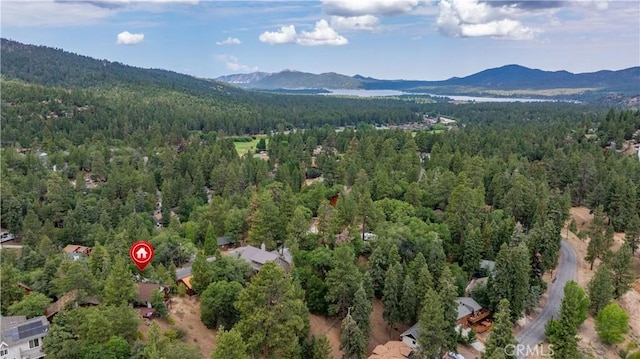 43418 Ridge Crest Dr, Big Bear Lake, CA 92315 - photo 11
