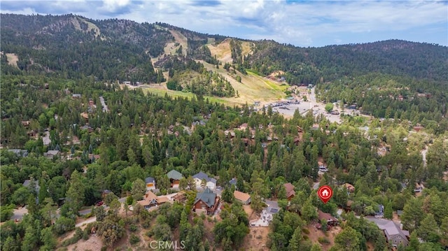 43418 Ridge Crest Dr, Big Bear Lake, CA 92315 - photo 9