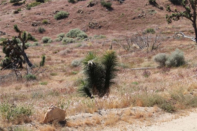 56383 Eagles Nest, Yucca Valley, CA 92284 - photo 18