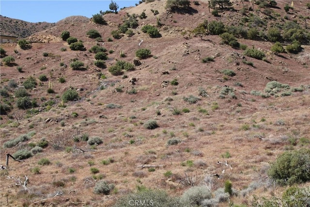 56383 Eagles Nest, Yucca Valley, CA 92284 - photo 17