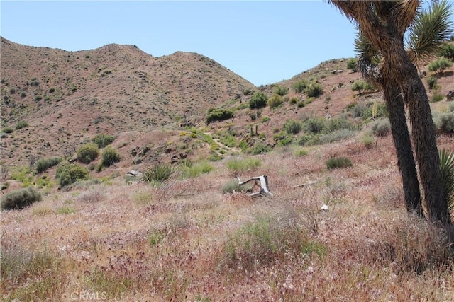 56383 Eagles Nest, Yucca Valley, CA 92284 - photo 2