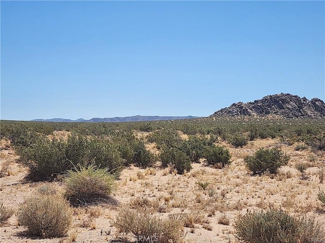 500 Harrod Rd, Lucerne Valley, CA 92356 - photo 2