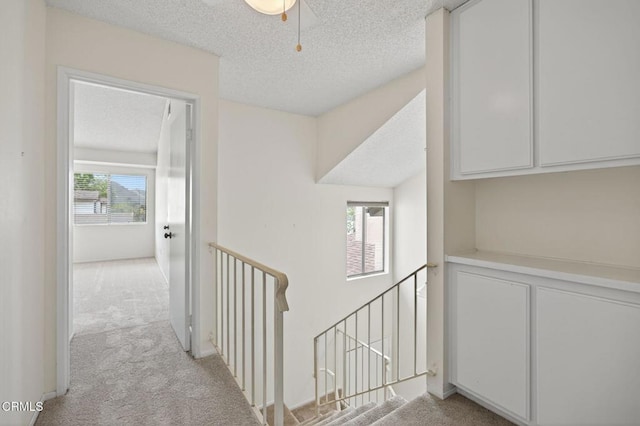 361 Ute Ln, Ventura, CA 93001 - photo 19