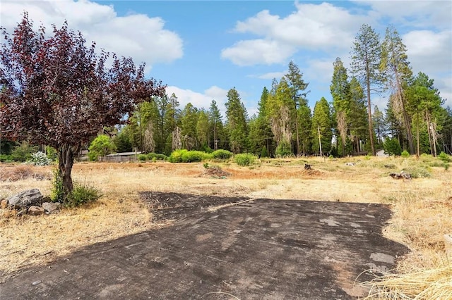 6325 Bentley Ct, Magalia, CA 95954 - photo 2