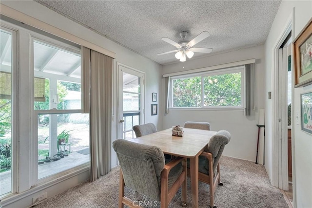 14739 Ararat St, Sylmar, CA 91342 - photo 12