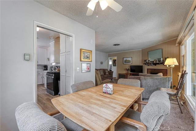 14739 Ararat St, Sylmar, CA 91342 - photo 5