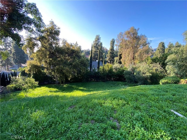 7013 Hillside Ln, Whittier, CA 90602 - photo 1