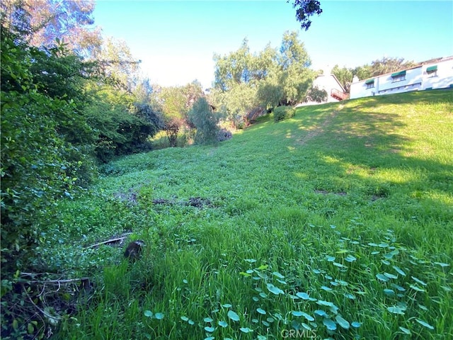 7013 Hillside Ln, Whittier, CA 90602 - photo 2