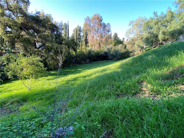7013 Hillside Ln, Whittier, CA 90602 - photo 6