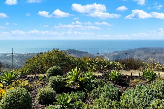 3355 Alta Laguna Blvd, Laguna Beach, CA 92651 - photo 13