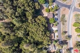 15908 Mil Potrero, Pine Mountain Club, CA 93222 - photo 45