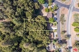 15908 Mil Potrero, Pine Mountain Club, CA 93222 - photo 44