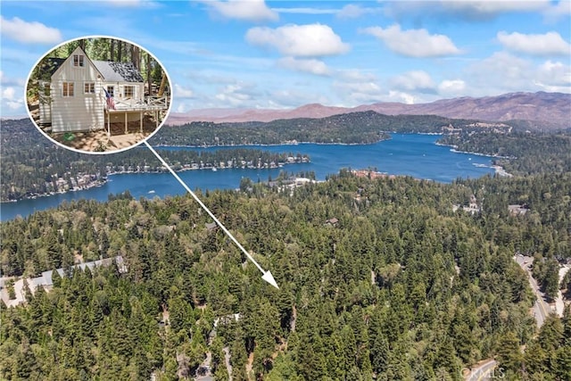 444 Shady Rd, Lake Arrowhead, CA 92352 - photo 43