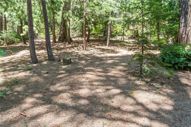 444 Shady Rd, Lake Arrowhead, CA 92352 - photo 30
