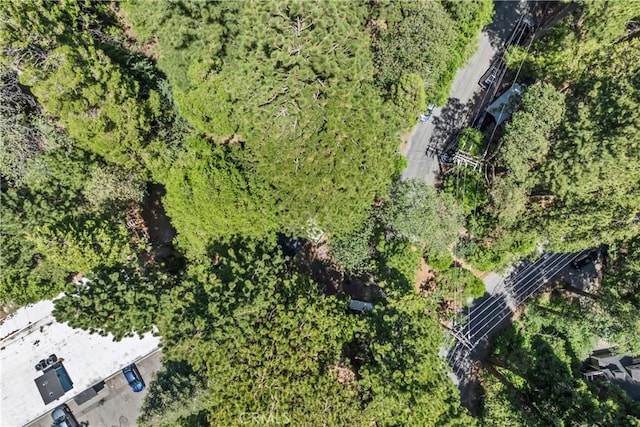 444 Shady Rd, Lake Arrowhead, CA 92352 - photo 40